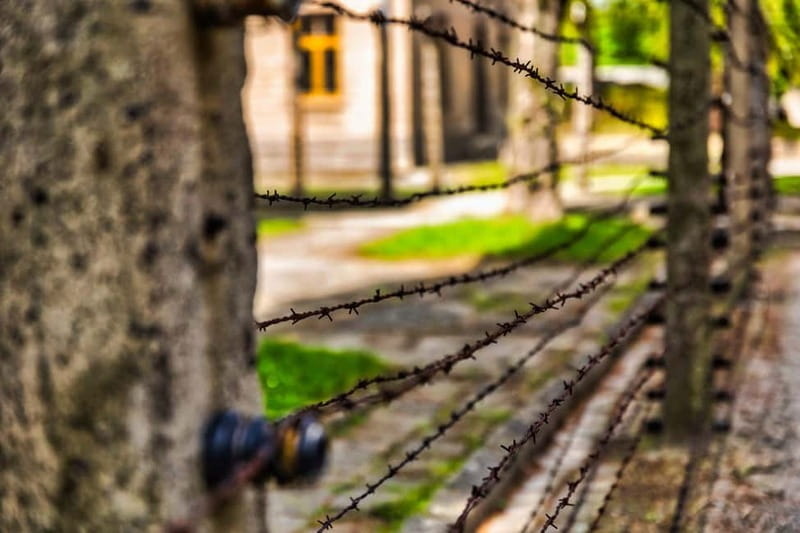 From Krakow: Auschwitz-Birkenau Guided Tour & Transport - Tour leader support: the human glue that keeps a heavy day manageable