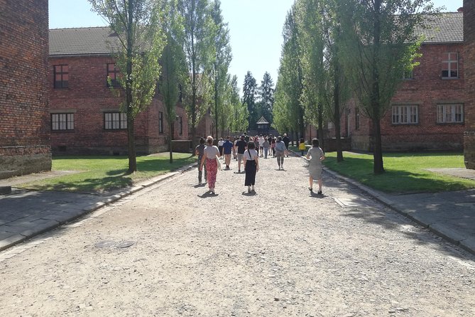 From Kraków: Auschwitz-Birkenau Guided Tour with Licensed Guide - Transport and group flow: minibus comfort, but watch the details
