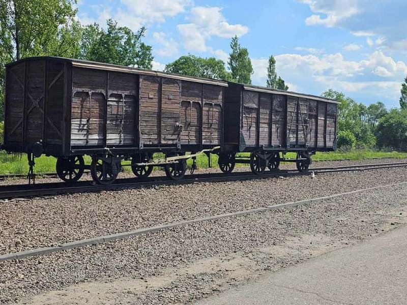 From Krakow: Auschwitz-Birkenau Guided Tour with Pickup - Pickup and timing from Krakow: the early morning reality check