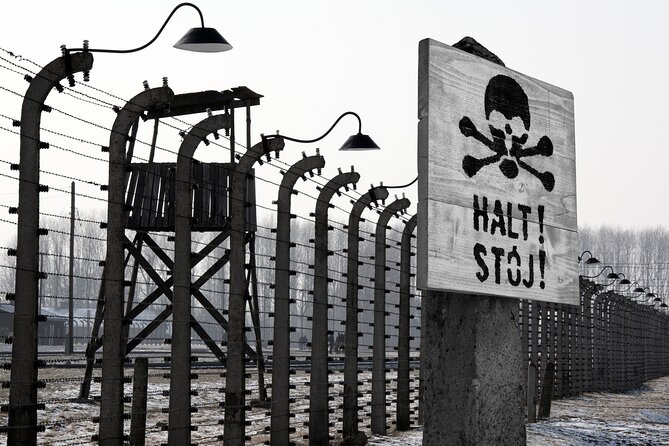 From Krakow: Auschwitz-Birkenau Memorial and Museum Guided Tour - Should you book this Auschwitz-Birkenau guided day trip?