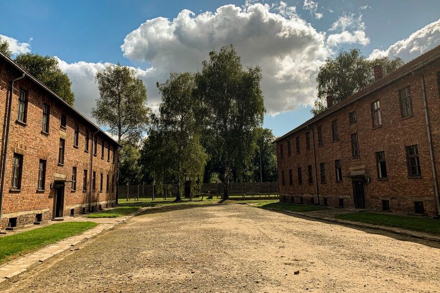 From Krakow: Auschwitz-Birkenau Memorial and Museum Tour - Auschwitz-Birkenau from Krakow in 7 hours: what you’re really signing up for