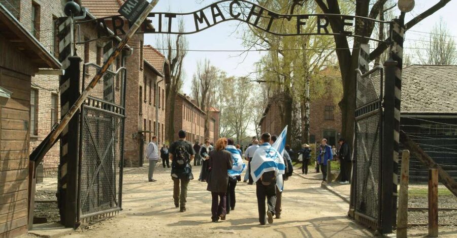 From Krakow: Auschwitz-Birkenau Memorial and Museum Tour - The liberation film: the first moments after freedom