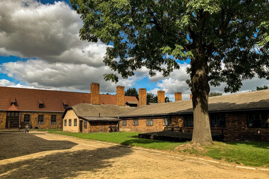 From Krakow: Auschwitz-Birkenau Memorial and Museum Tour - Walk time, group pace, and the role of your guide