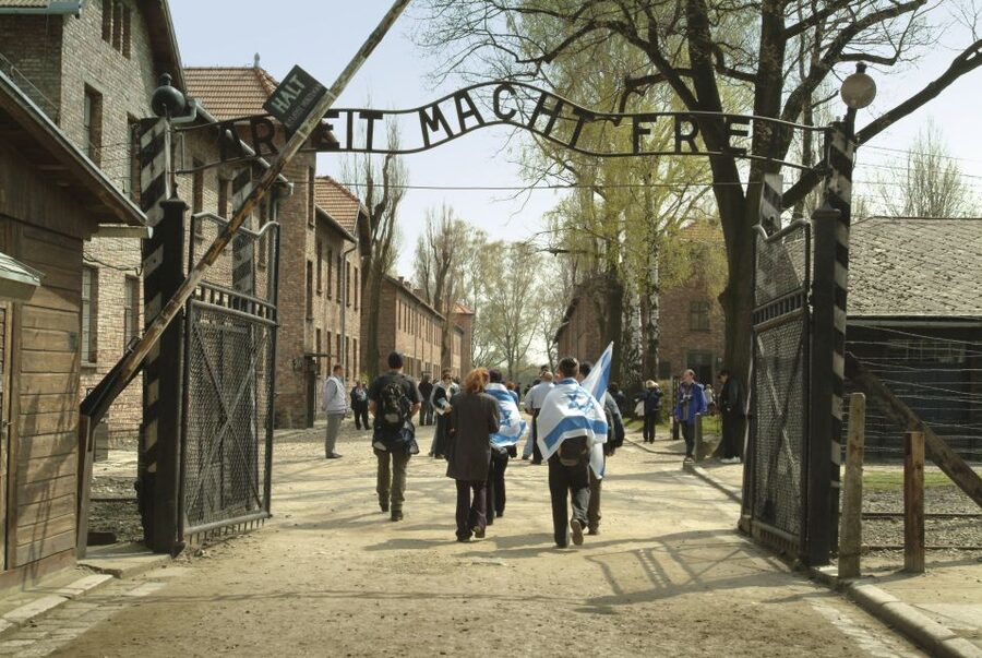 From Krakow: Auschwitz-Birkenau Memorial and Museum Tour - Timing from Krakow and how the day stays on track