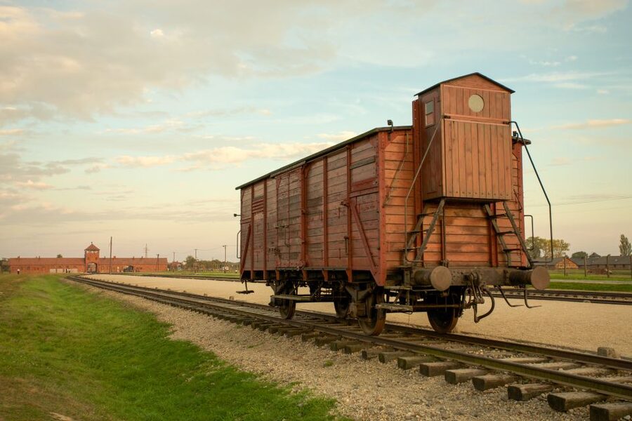 From Kraków: Auschwitz-Birkenau Memorial Guided Tour - What to wear, bring, and expect from the rules