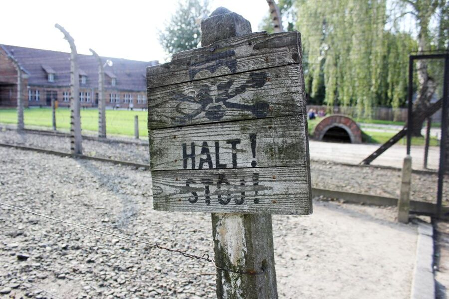 From Kraków: Auschwitz-Birkenau Memorial Guided Tour - Getting there: timing, travel rhythm, and your total day