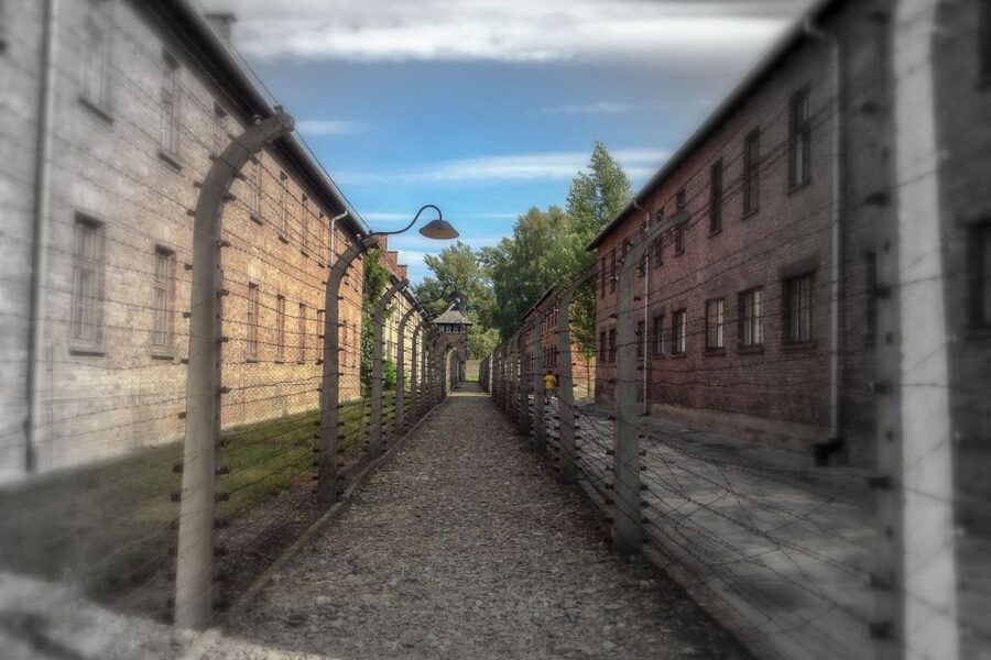 From Krakow: Auschwitz-Birkenau Private or Shared Tour - The short break and the transfer to Birkenau