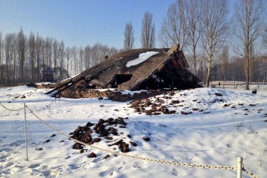 From Krakow: Auschwitz-Birkenau Private or Shared Tour - Guides, drivers, and the human touch that makes the day easier