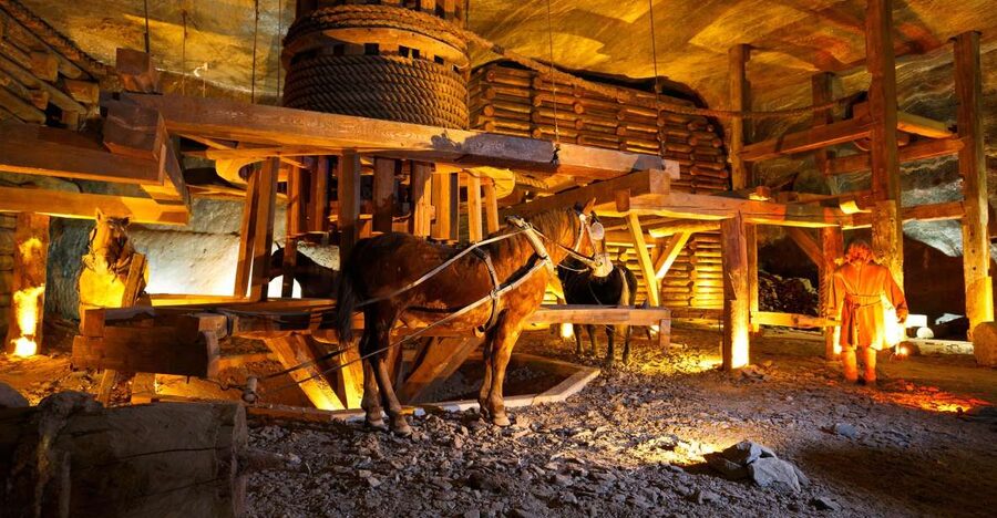 From Krakow: Auschwitz-Birkenau & Salt Mines with Lunch - How the Krakow to Auschwitz to Salt Mines day actually plays out