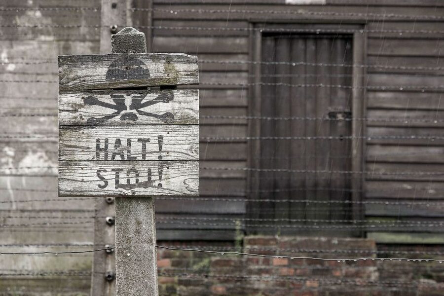 From Krakow: Auschwitz-Birkenau & Schindler's Factory Tour - Auschwitz-Birkenau With Headsets: What Your 3.5-Hour Guided Tour Really Gives You