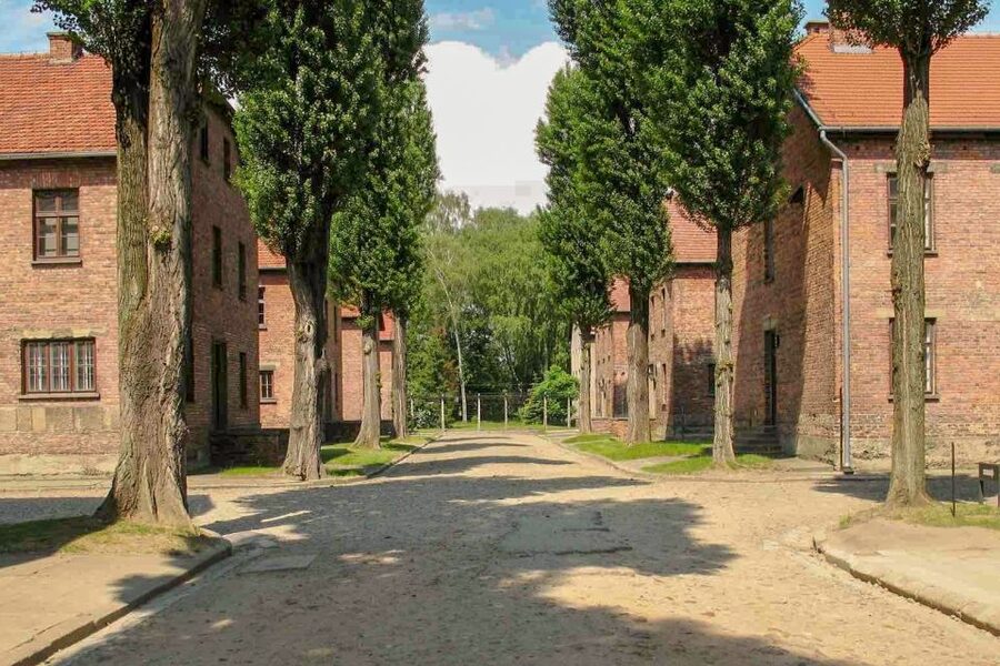 From Krakow: Auschwitz-Birkenau & Schindler's Factory Tour - Your Podgórze Break: The 50 Minutes You Should Use Strategically