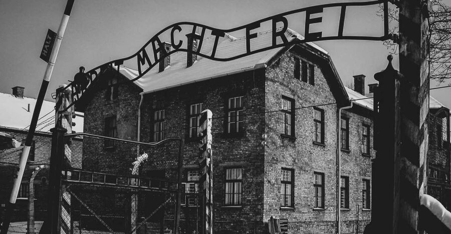 From Krakow: Auschwitz Birkenau Self-Guided Tour - Key points to know before you go