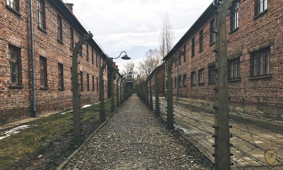 From Krakow: Auschwitz Birkenau Self-Guided Tour - Pickup, bus ride, and the pace of a 7-hour plan
