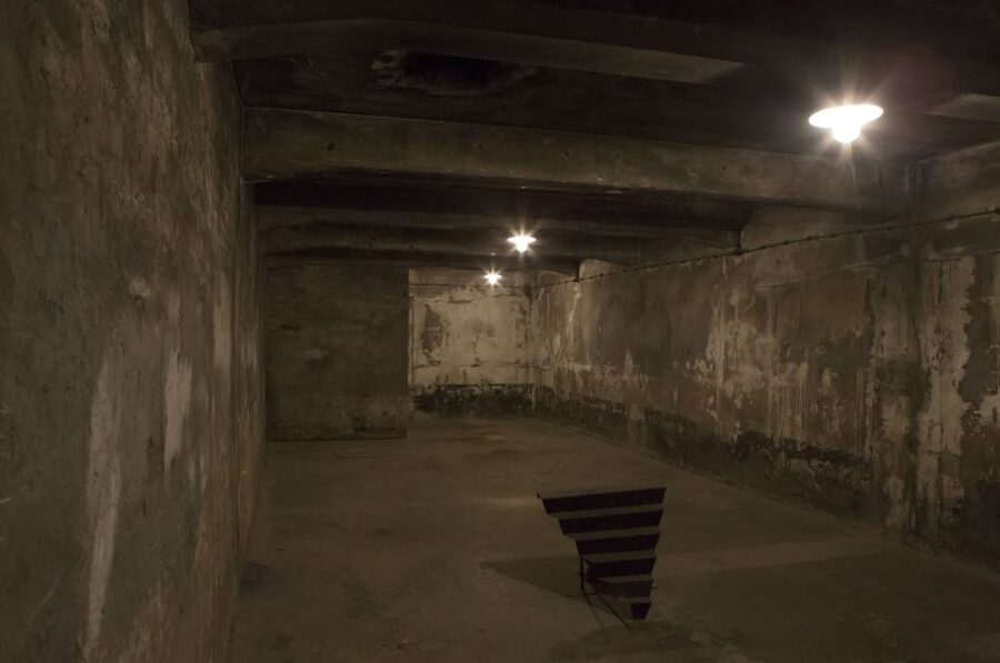 From Krakow: Auschwitz-Birkenau Tour - What you will actually see at Auschwitz-Birkenau