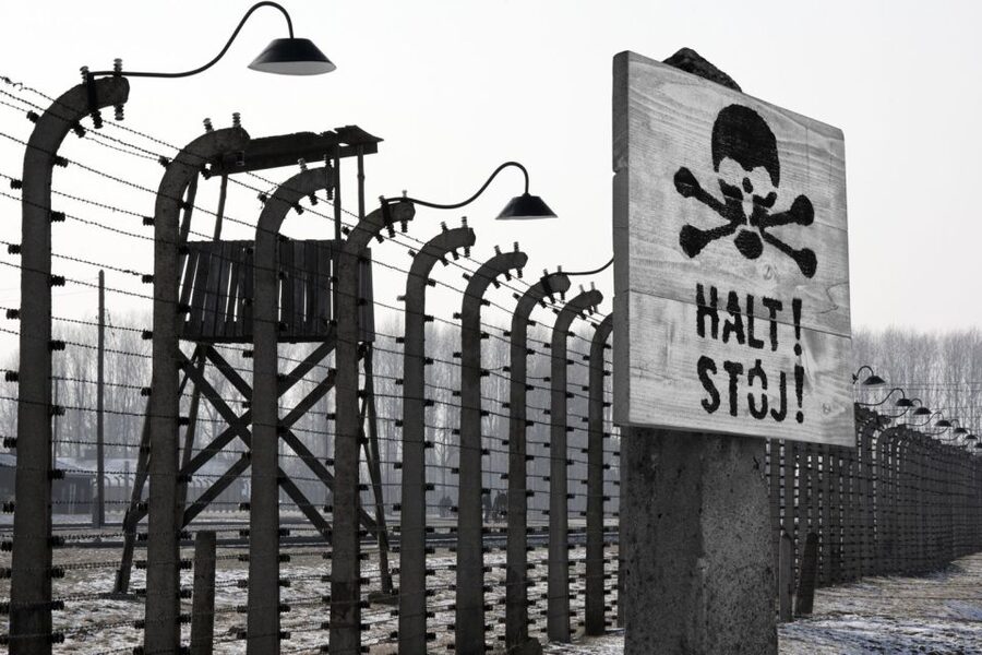 From Krakow: Auschwitz-Birkenau Tour - Price and value: why $81 can be more than fair