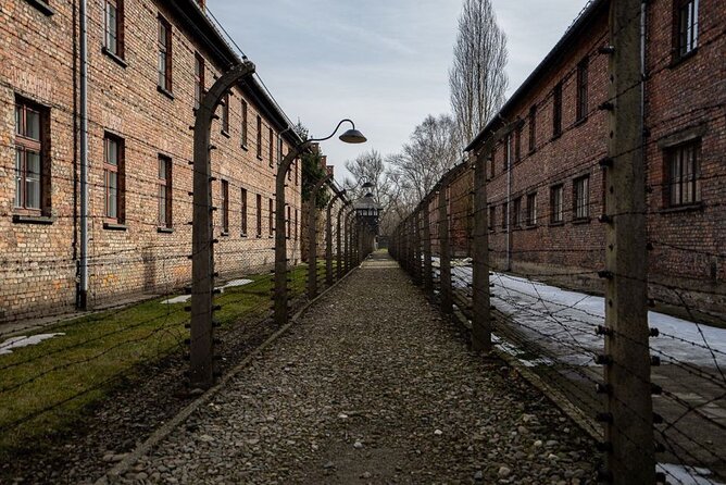 From Kraków: Auschwitz-Birkenau Tour with Lunch Box and Pick Up - Transport comfort and communication on the day