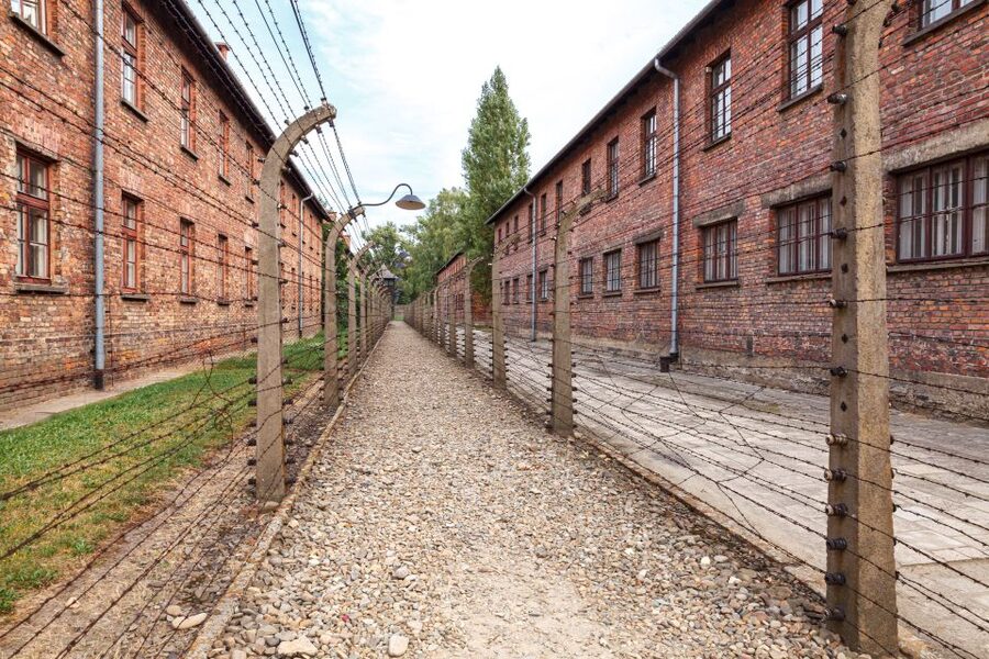 From Krakow: Auschwitz Birkenau Tour with Transfer - Why this Auschwitz-Birkenau day trip starts in Krakow