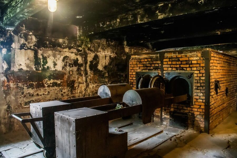 From Krakow: Auschwitz-Birkenau Tour with Transportation - What to bring, what to wear, and what not to miss