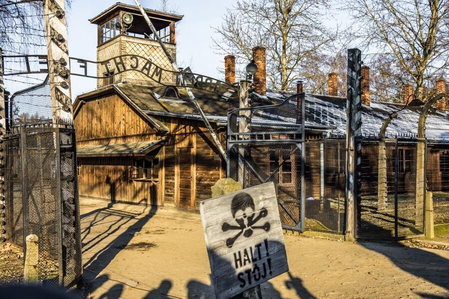 From Krakow: Auschwitz-Birkenau Tour with Transportation - Who this self-guided format suits best
