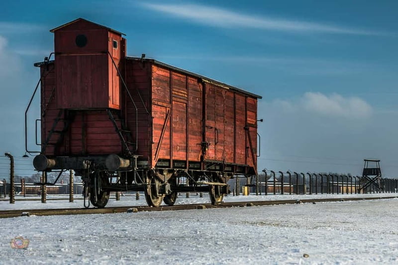 From Krakow: Auschwitz-Birkenau Tour with Transportation - The documentary ride, and the calm start with a host