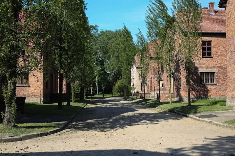 From Krakow: Auschwitz Museum and Wieliczka Salt Mine Tour - Rules and gotchas: the stuff that can ruin your day if you ignore it