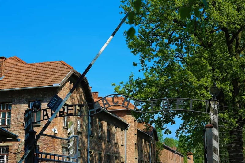 From Krakow: Auschwitz Museum and Wieliczka Salt Mine Tour - A long day that moves from Auschwitz to salt