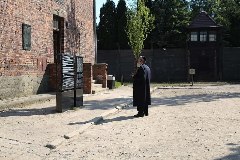 From Krakow: Auschwitz Museum and Wieliczka Salt Mine Tour - Auschwitz specifics: what to expect and why the break helps