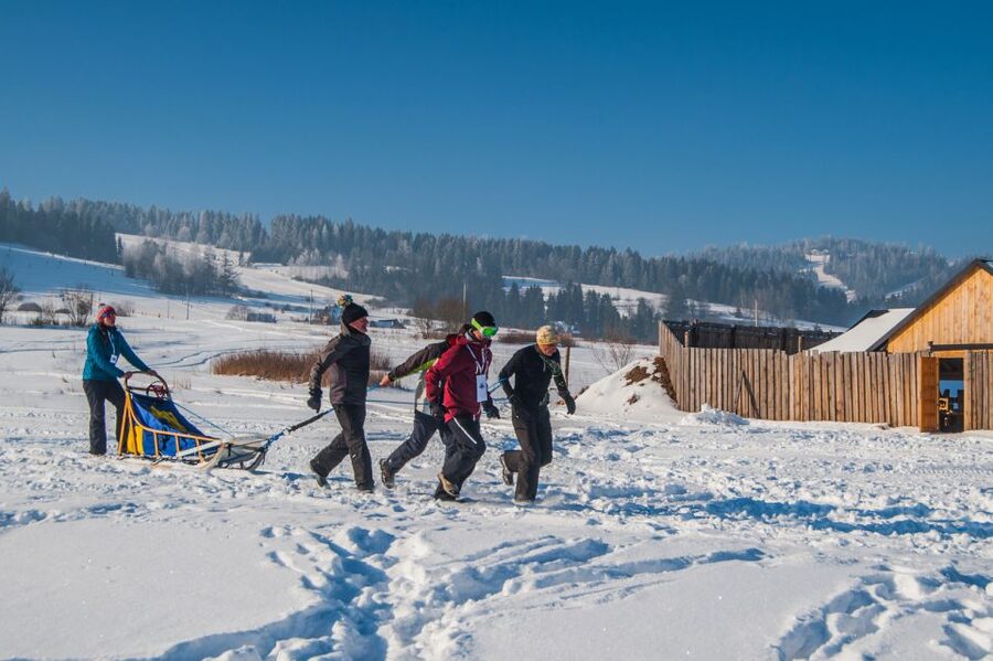 From Krakow: Dogsled Ride in Tatra Mountain - Mushing on Frozen Terrain: What You Do, What You Don’t