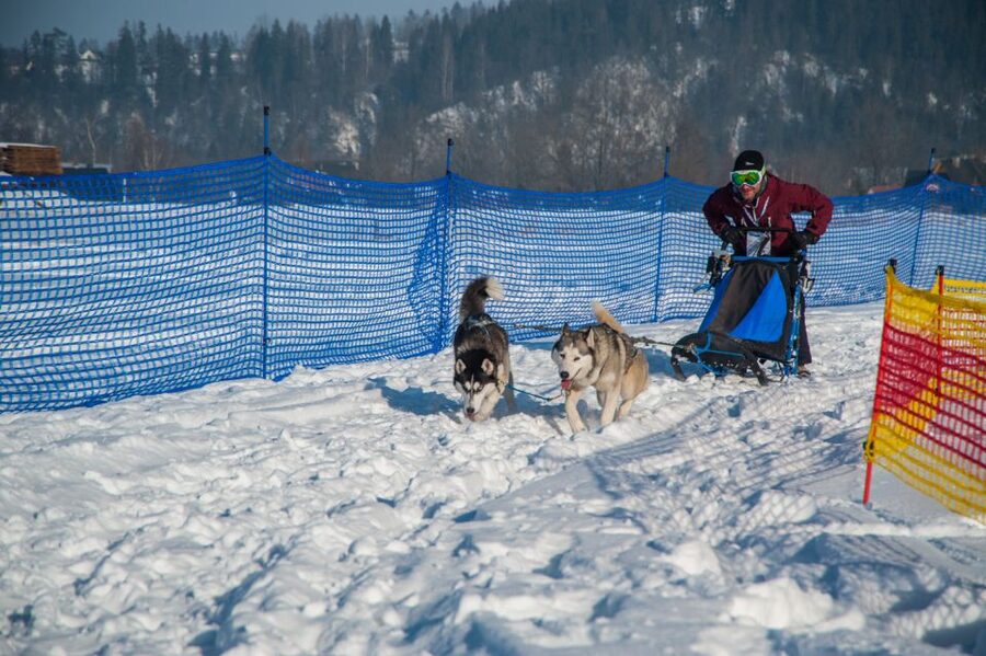 From Krakow: Dogsled Ride in Tatra Mountain - Price and Value: Is $391 Worth the Short Sled Run?