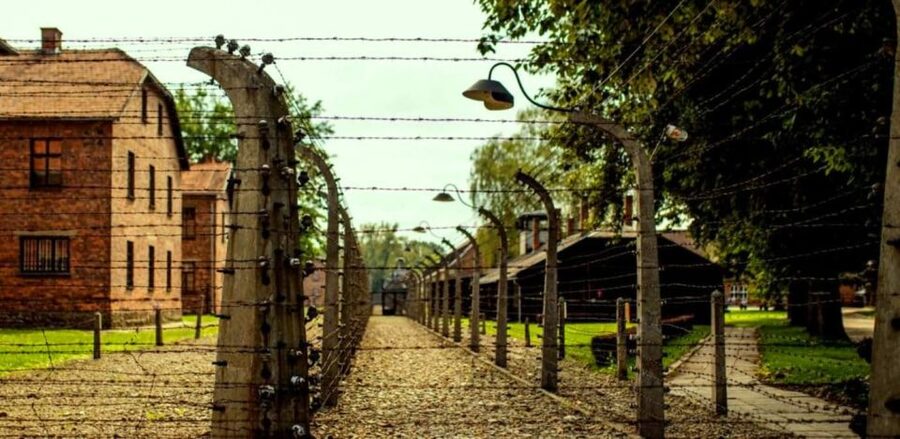 From Krakow: Guided Auschwitz-Birkenau Group Tour by Minivan - Key highlights to know before you go