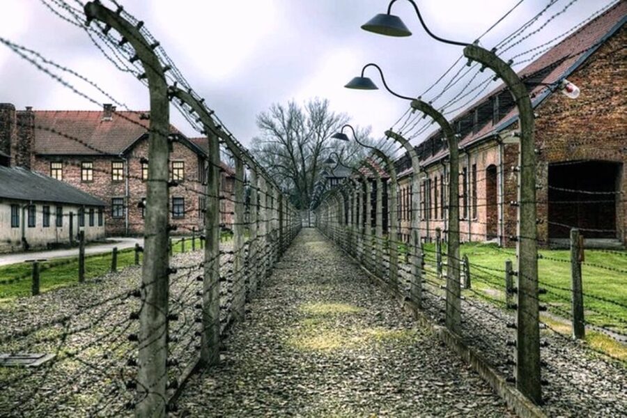 From Krakow: Guided Auschwitz-Birkenau Group Tour by Minivan - Krakow to Auschwitz by minivan, with the day planned start to finish