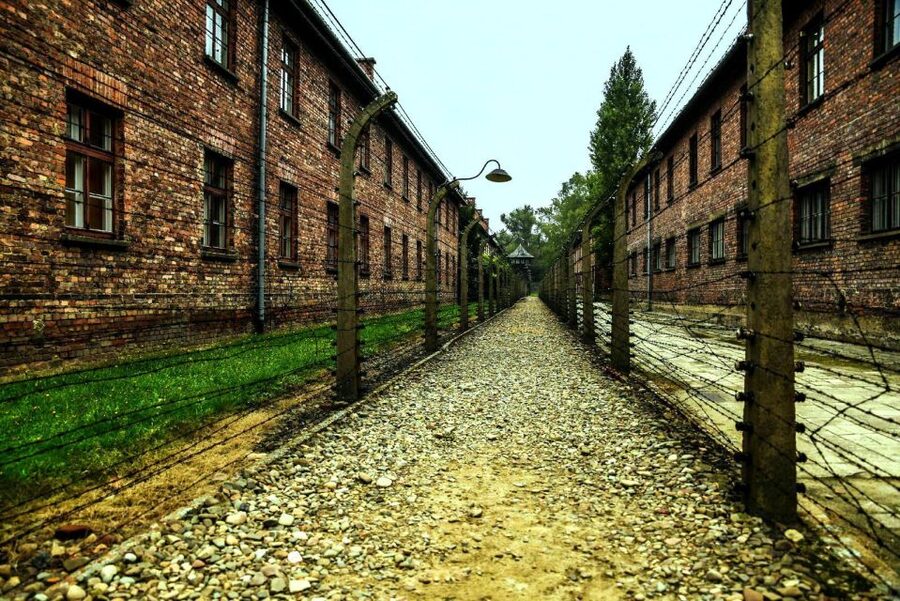 From Krakow: Guided Auschwitz-Birkenau Group Tour by Minivan - The museum guide experience in English, and how the tour is structured