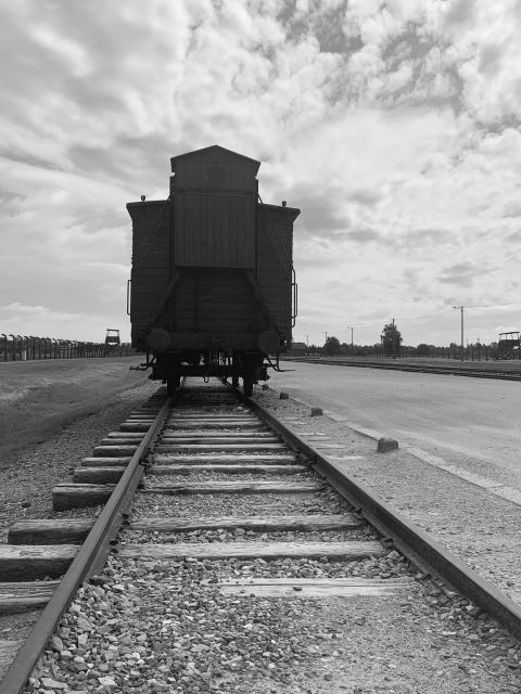From Krakow: Guided Auschwitz-Birkenau Group Tour by Minivan - Stop 2, Auschwitz II-Birkenau: seeing scale without losing your footing