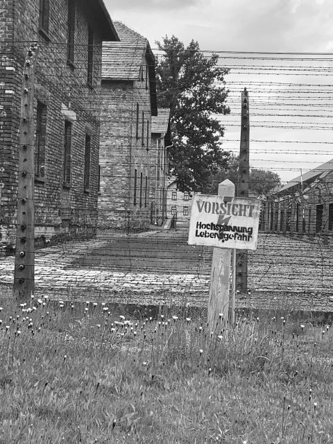 From Krakow: Guided Auschwitz-Birkenau Group Tour by Minivan - Transport value: hotel pickup, drop-off, and staying out of the chaos