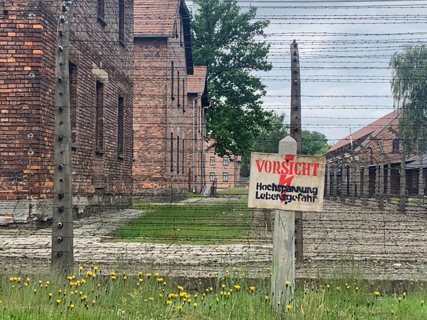 From Krakow: Guided Auschwitz-Birkenau Group Tour by Minivan - Group size, pace, and why the day can feel intense