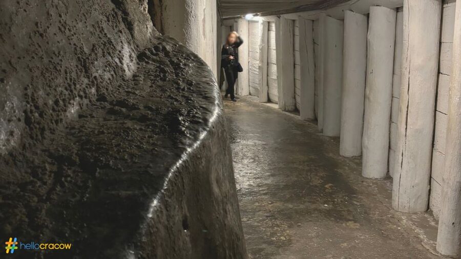 From Krakow: Guided Tour in Wieliczka Salt Mine - Guide style and group flow: making it feel smooth instead of stressful