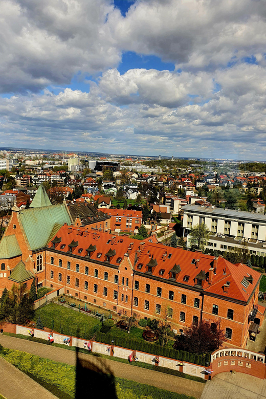 From Krakow: Lagiewniki Sanctuary of The Divine Mercy Tour - From Kraków pickup to calm prayer time
