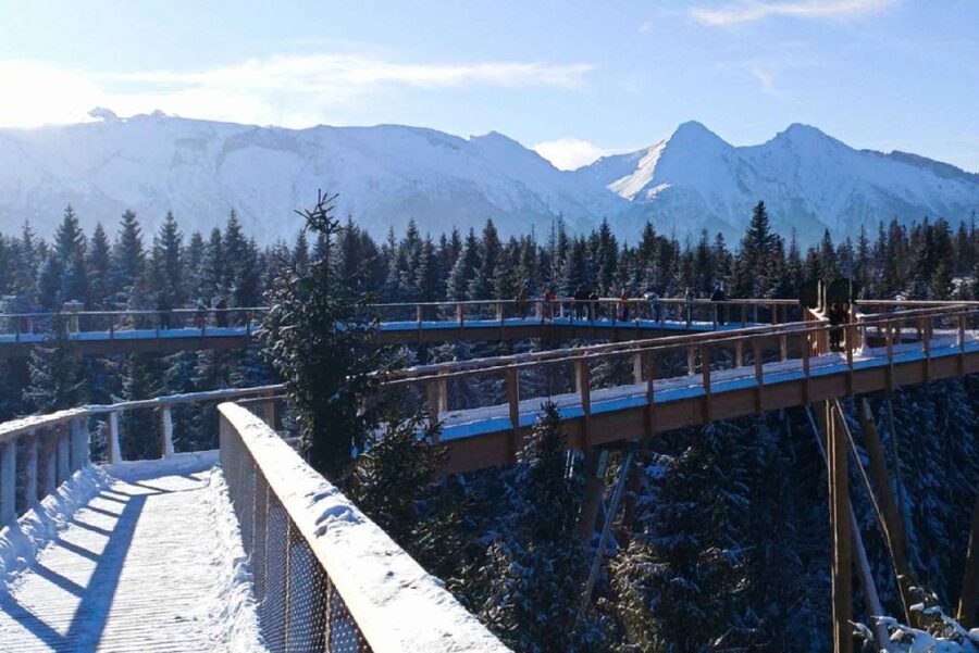 From Krakow: Morskie Oko and Slovakia Treetop Walk - Private English-speaking driver: the real value (and what can vary)
