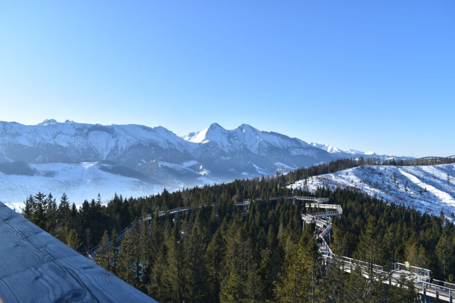 From Krakow: Morskie Oko and Slovakia Treetop Walk - Ždiar and the Bachledova Valley treetop walk: what you’ll actually do