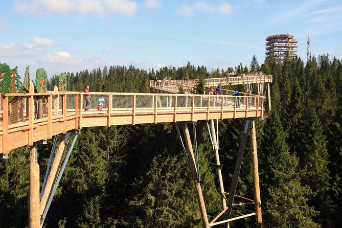 From Krakow: Morskie Oko in the Tatra Mountains and Slovakia Treetop Walk - From Krakow to the Tatras, without the stress