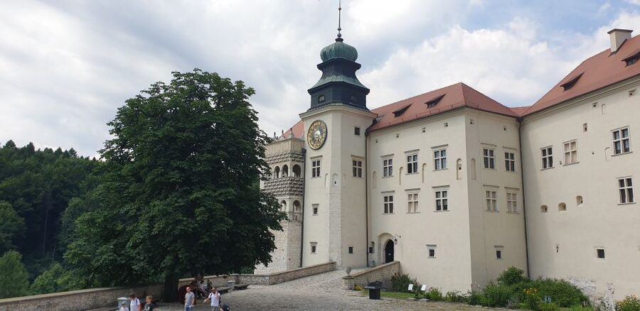 From Krakow: Ojców National Park & Ogrodzieniec Castle Tour - The door-to-door van that makes this day trip actually easy