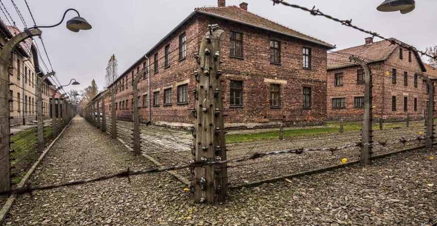 From Krakow: Roundtrip Transportation to Auschwitz Birkenau - How a Driver-Waiting Day Feels on the Ground