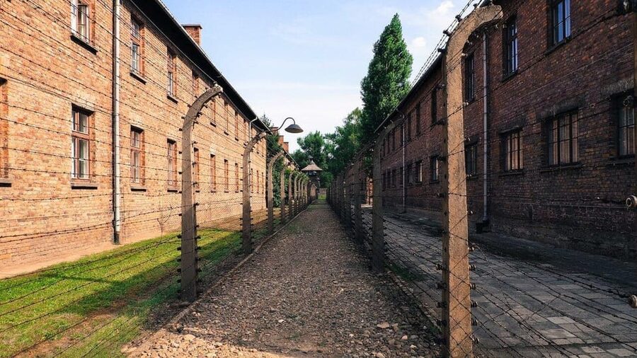From Krakow: Roundtrip Transportation to Auschwitz Birkenau - Pickup Timing That Actually Helps