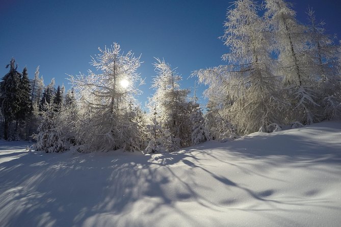 From Krakow: Siepraw Skiing for Beginners - Should You Book This Skiing for Beginners Trip?