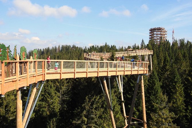 From Kraków: Slovakia Treetop Walk Bachledka and Zakopane - From Krakow to Slovakia and Back: How the Day Flows