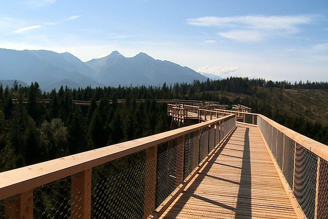 From Kraków: Slovakia Treetop Walk Bachledka and Zakopane - The 32 Metre Platform and the 60 Metre Slide Choice