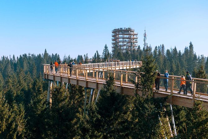 From Kraków: Slovakia Treetop Walk Bachledka and Zakopane - Comfort Tips That Keep This Day Fun Instead of Stressful