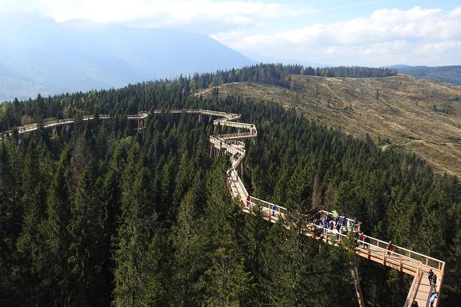 From Kraków: Slovakia Treetop Walk Bachledka and Zakopane - Bachledka Treetop Walk: The 600 Metres You Will Actually Remember