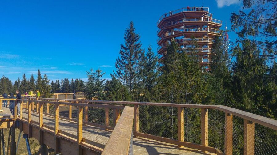 From Krakow: Slovakia Treetop Walk, Zakopane & Thermal Spa - Why this day trip works from Krakow