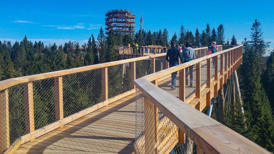 From Krakow: Slovakia Treetop Walk, Zakopane & Thermal Spa - Timing, weather, and the realism of mountain views